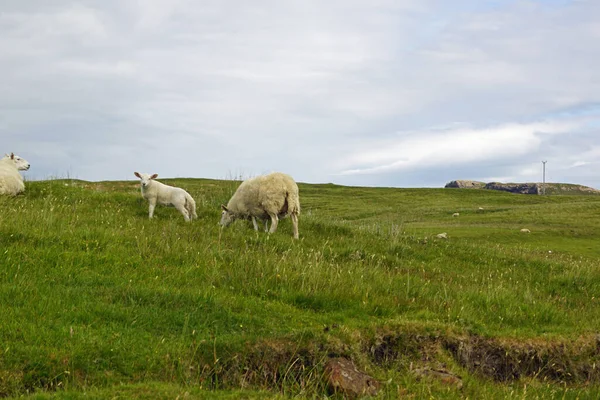 Schottland Ist Voller Wunderschöner Landschaften Wohin Man Auch Schaut Die — Stockfoto