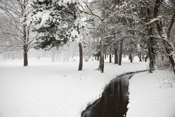 Inverno Parque Delitzsch — Fotografia de Stock