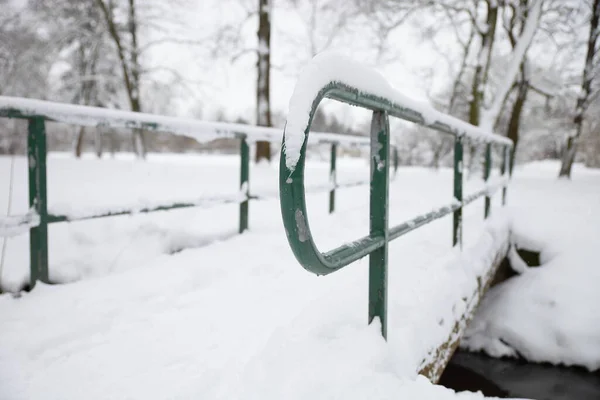 Zima Delitzsch Parku — Stock fotografie