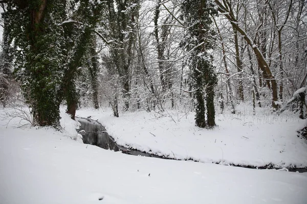 Inverno Parque Delitzsch — Fotografia de Stock