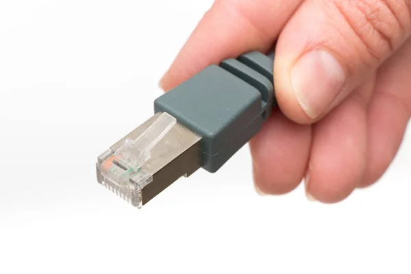 Paire Torsadée Câble Ethernet — Photo