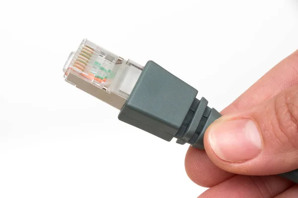 Bükülmüş Ethernet Kablosu — Stok fotoğraf