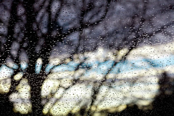 Drops Rain Window — Stock Photo, Image