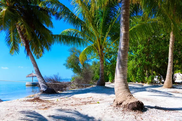 Évasion Dreamscape Aux Maldives — Photo