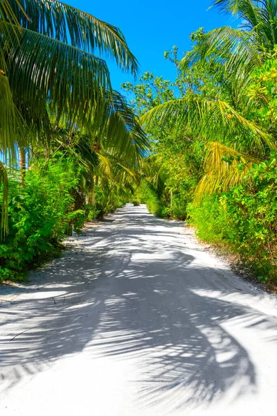 Droomlandschap Ontsnappen Malediven — Stockfoto