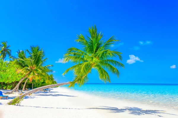 Fuga Sogno Alle Maldive — Foto Stock