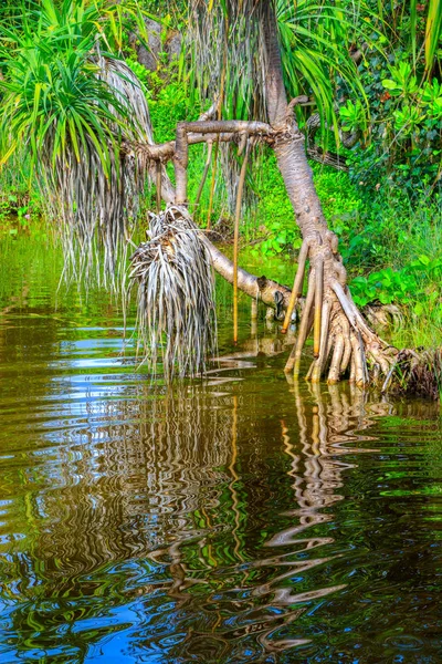 Изображение Пляжной Водной Сцены — стоковое фото