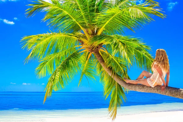 在马尔代夫海边的沙滩上 金发女人坐在棕榈树上 — 图库照片