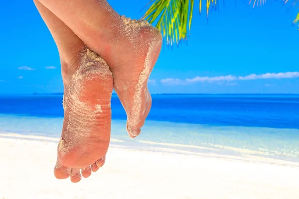 在马尔代夫沙滩上的棕榈树上挂着小腿和小腿 — 图库照片