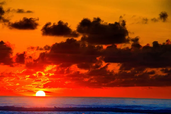 Vista Mare Con Raggi Sole Palme Piante — Foto Stock