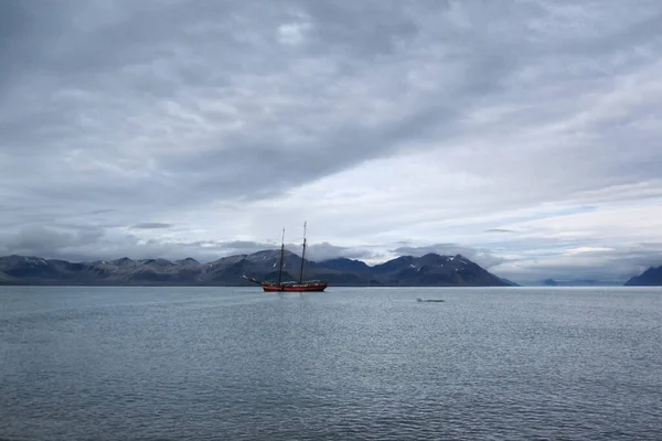 Tallship Noorderlicht Wybrzeżu Svalbard Krossfjorden — Zdjęcie stockowe