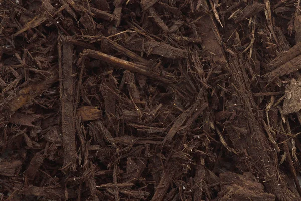 Casca Árvore Madeira Fichas Mulch Usado Horticultura Closeup Textura Fundo — Fotografia de Stock