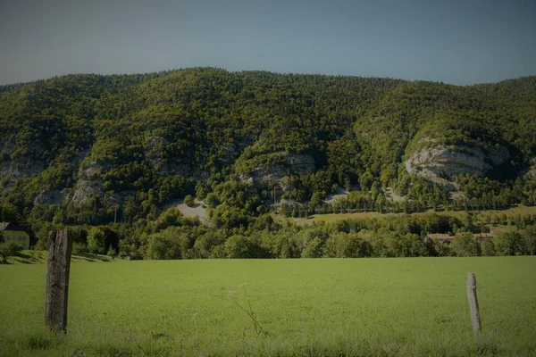 Lesní Horské Prostředí Francouzských Švýcarských Hranicích — Stock fotografie