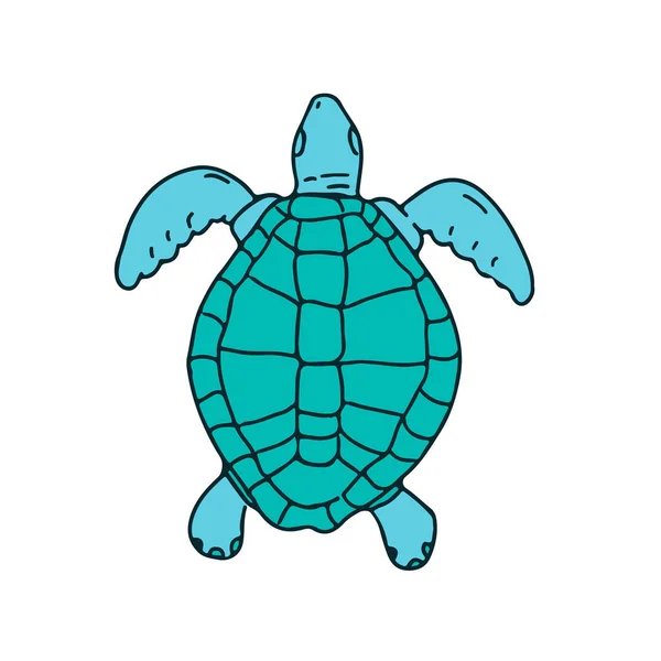Рисунок Стиле Эскиза Морской Черепахи Плавающей Сверху Изолированном Белом Фоне — стоковое фото
