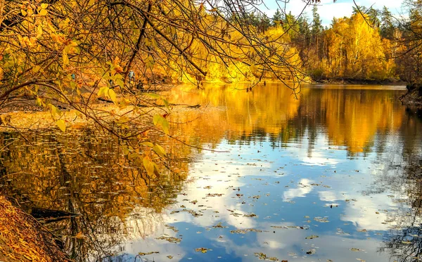 Jesienne Liście Flora Jesienią — Zdjęcie stockowe