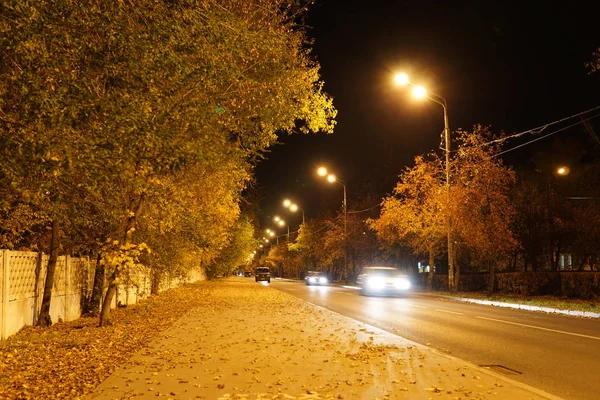 Ночное Движение Городского Транспорта Размыто Огнями Фар Дорожных Деревьев Осенние — стоковое фото