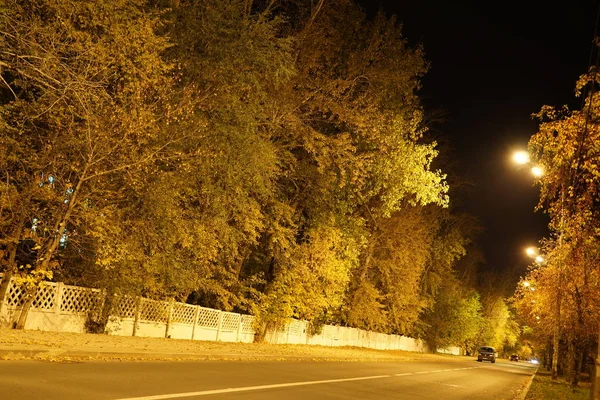 Nacht Verkehr Stadt Verkehr Verschwommen Lichter Scheinwerfer Straße Bäume Herbst — Stockfoto