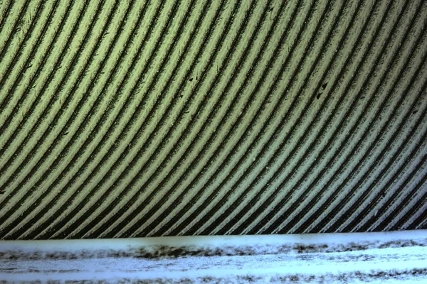 顕微鏡下の鳥の羽 — ストック写真
