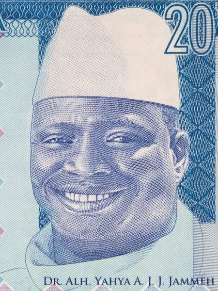 Портрет Джамме Гамбійських Грошей — стокове фото