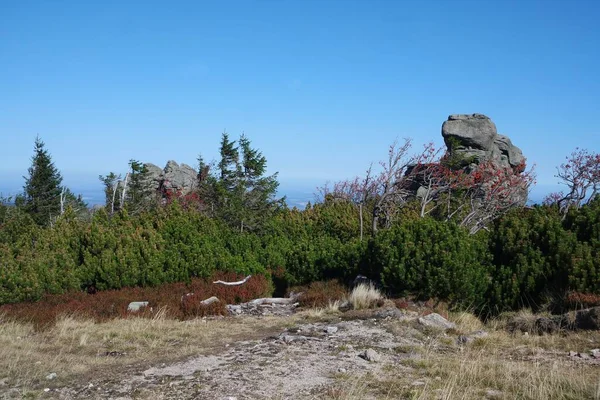 Reuzengebergte Berg Szrenica Poolse Kant Landschap Met Paardenkop Stenen — Stockfoto