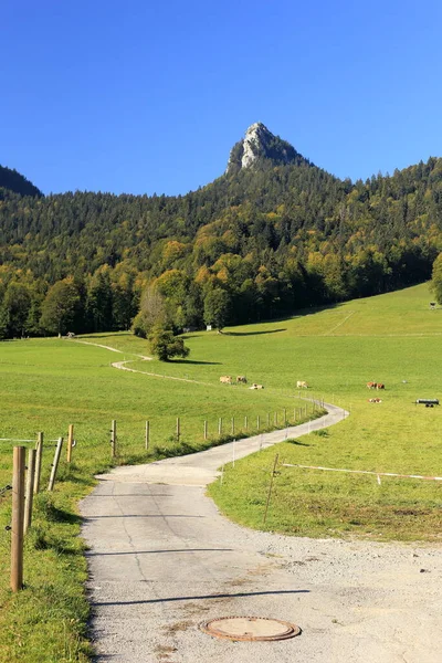 Sentier Menant Sommet Bavière Automne — Photo