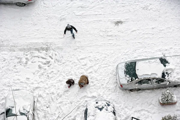 Erhöhter Blick Auf Familienspiel Auf Schneebedecktem Parkplatz — Stockfoto