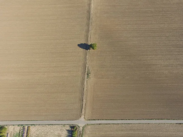 Vista Pittoresca Del Paesaggio Campagna — Foto Stock