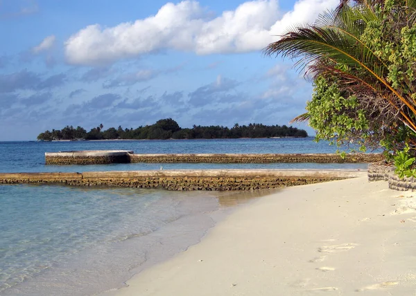 马尔代夫一个岛上惊人的白色珊瑚沙滩 — 图库照片