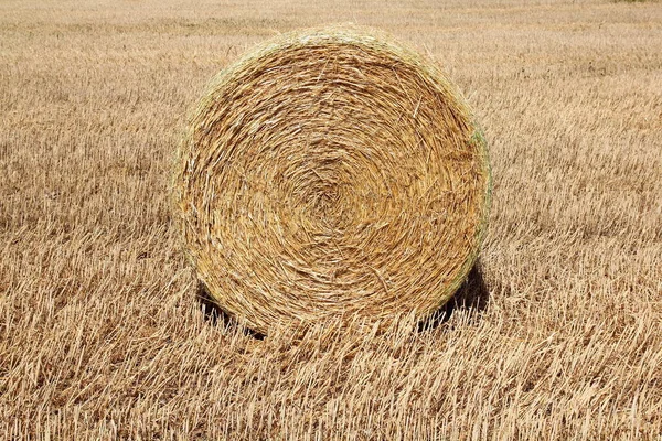 Bale Straw Stubble Field — Stock Photo, Image