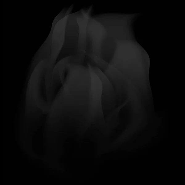 Vater Vapor Transparent Smoke在黑色背景下被隔离 雾状图案 — 图库照片