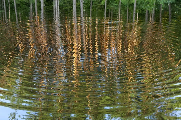 Superficie Ondulada Del Agua Lago Que Reflejan Como Espejo Los — Foto de Stock