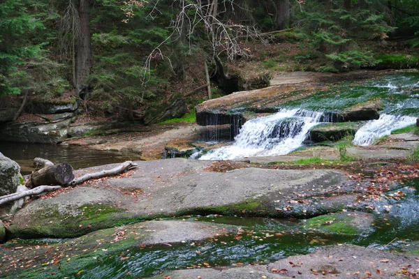 Nationaal Park Reuzengebergte Polen — Stockfoto