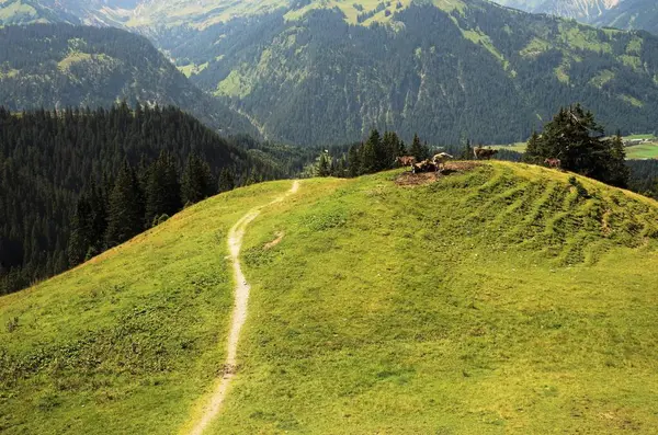 Bergpfad Den Tiroler Alpen — Stockfoto