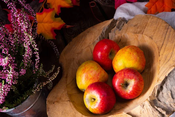 유럽의 맛있는게 사과나무인 베스트 — 스톡 사진