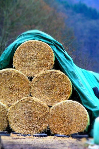 アクアブルーターパリンの下の藁の俵 — ストック写真
