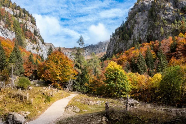 Sonbahar Manzarası Dağlar Sonbahar Ormanı Toprak Yol — Stok fotoğraf