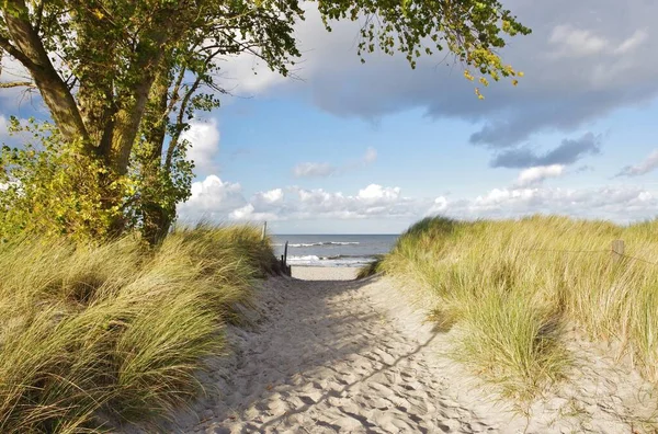 Östra Havet Och Ingången Till Stranden Sehlendorf Schleswig Holstein Nordtyskland — Stockfoto