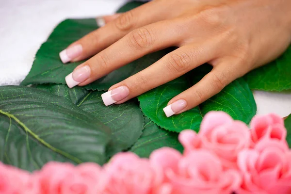 Manicure Pedicure Belas Mãos Femininas Com Esmalte Rosa — Fotografia de Stock