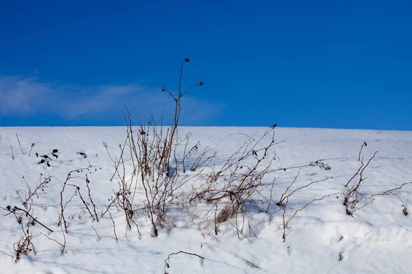 Pittoresk Uitzicht Besneeuwde Winterlandschap — Stockfoto