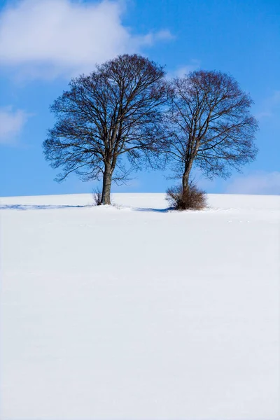 Vista Pitoresca Paisagem Inverno Coberto Neve — Fotografia de Stock