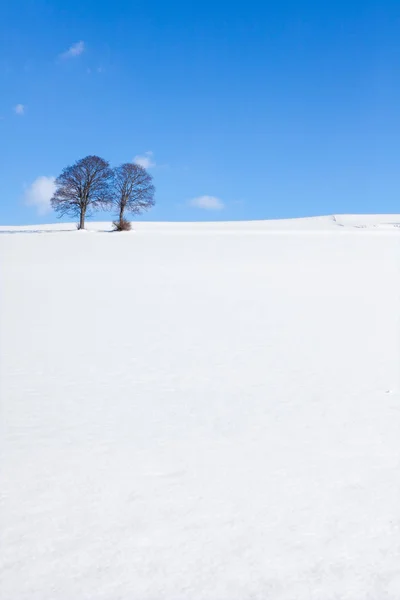 Vista Pitoresca Paisagem Inverno Coberto Neve — Fotografia de Stock