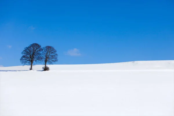 Vista Pitoresca Paisagem Inverno Coberto Neve — Fotografia de Stock