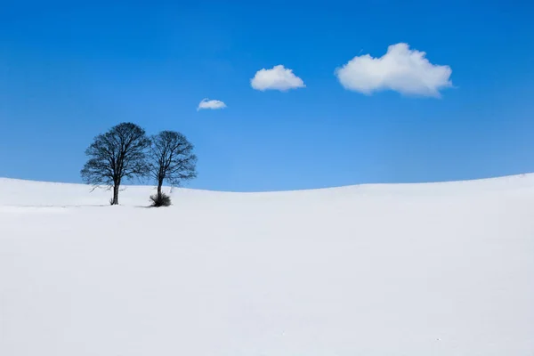 Vista Pitoresca Paisagem Inverno Coberto Neve — Fotografia de Stock