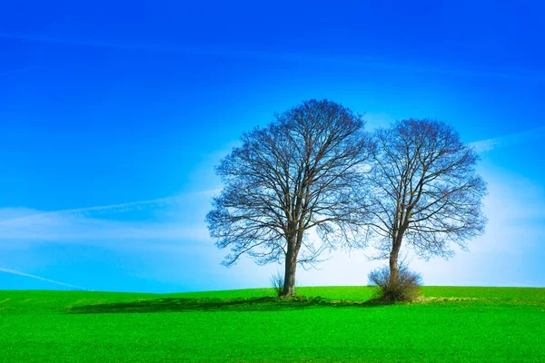 Schöne Aussicht Auf Die Natur — Stockfoto