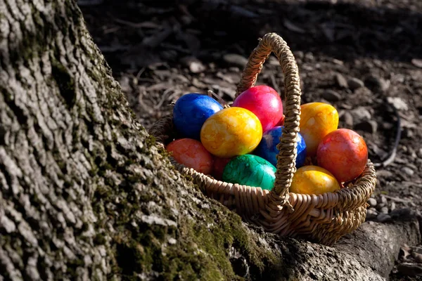 Пасхальные Яйца Праздник Фон — стоковое фото