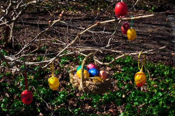 Oeufs Pâques Fond Vacances — Photo