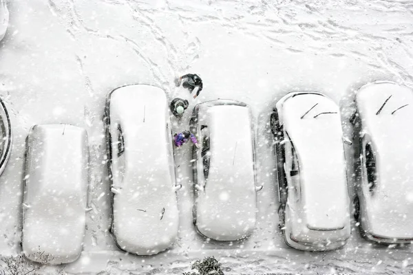 Vista Elevada Los Niños Juegan Estacionamiento Cubierto Nieve —  Fotos de Stock