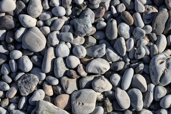 Boşluk Dokusunu Kopyala Duvar Kağıdı Arkaplanı — Stok fotoğraf