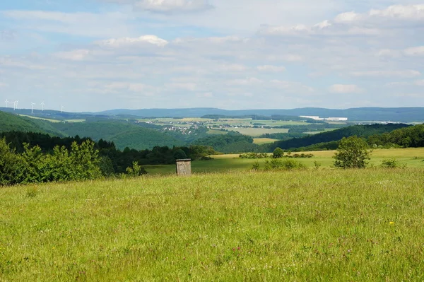 Letni Krajobraz Polami Zieloną Trawą — Zdjęcie stockowe