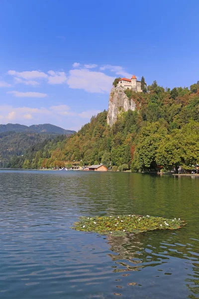 Bleder Lago Con Nenúfares Castillo Sangrado Slovenia — Foto de Stock